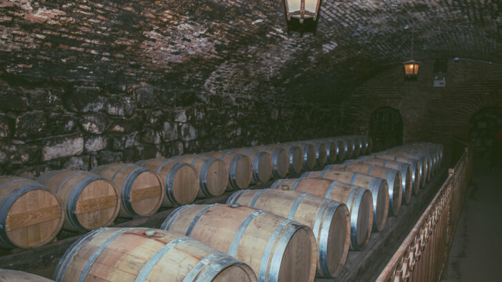 Wine barrels in a old cellar