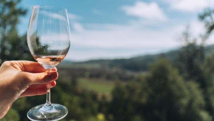 Wine glass held over Napa Valley